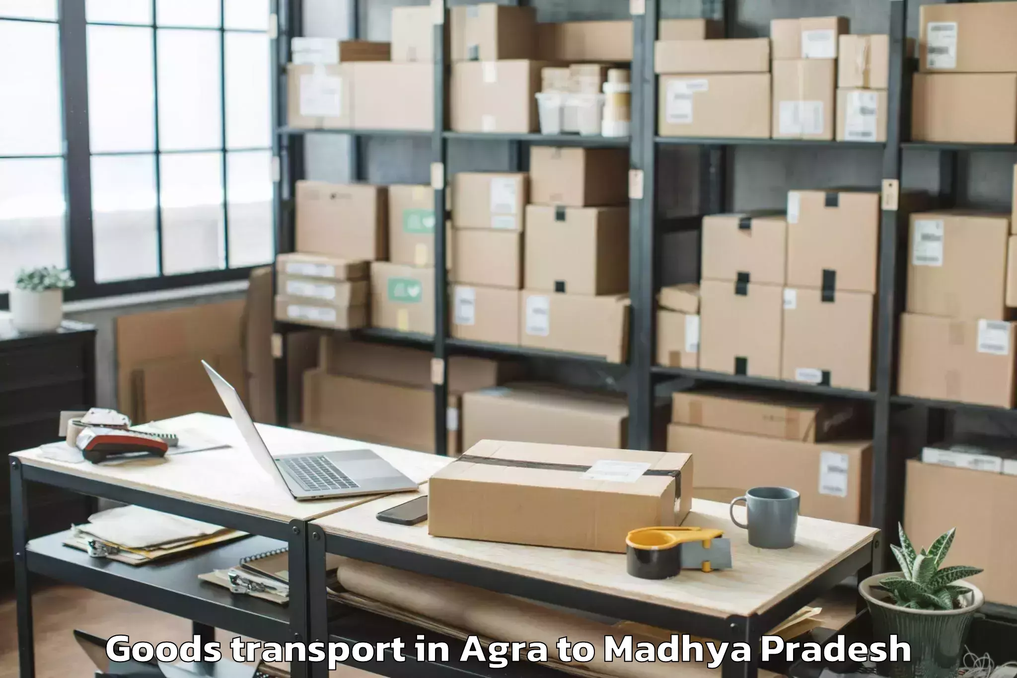 Book Agra to Dabra Pichhore Goods Transport Online